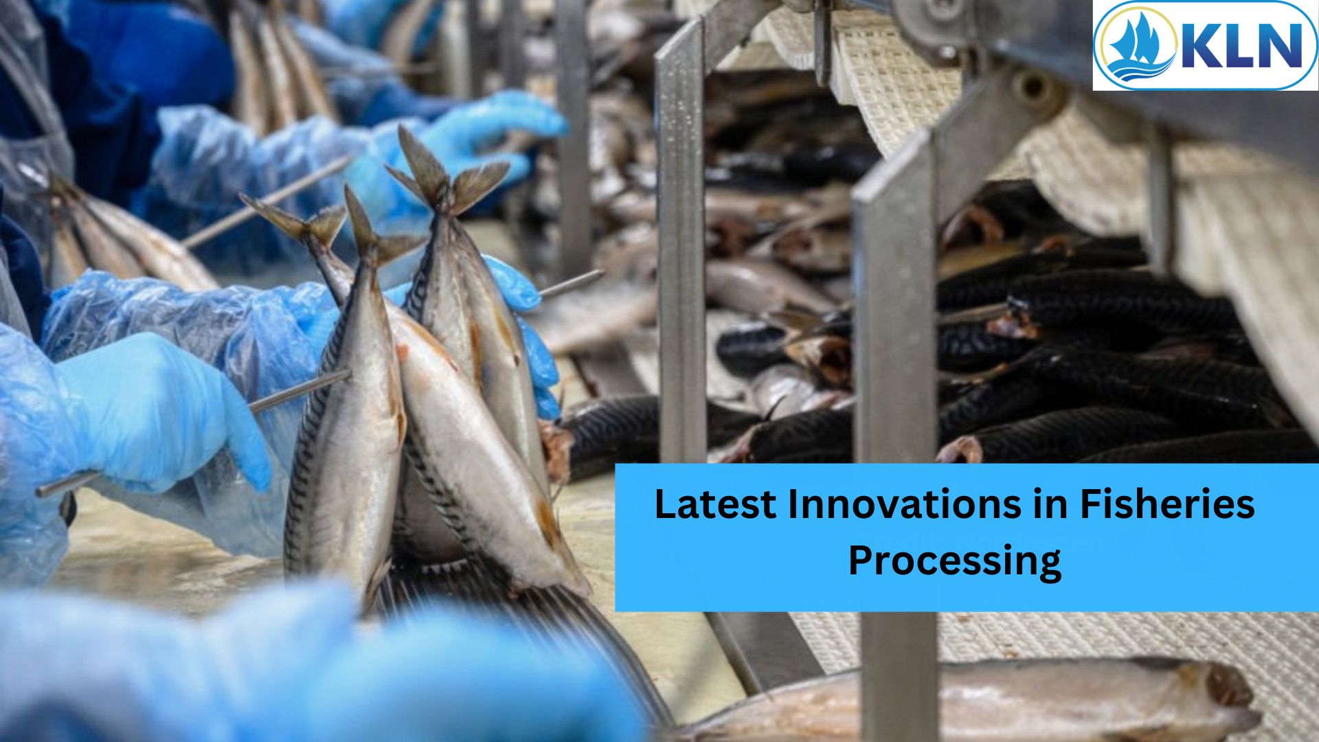 Latest Innovations in Fisheries Processing